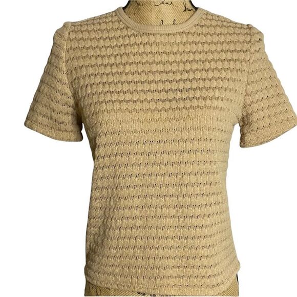 ZARA Trafaluc Lace Crochet Sweater Tee Short Sleeves - Picture 1 of 7